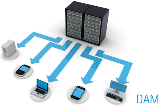 Digital Asset Management - DAM - Document management