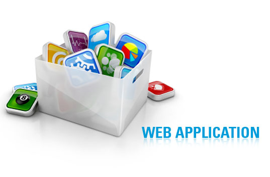 Web Application Development and Rich Internet Application (RIA)    