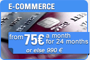 THE E-COMMERCE SITE